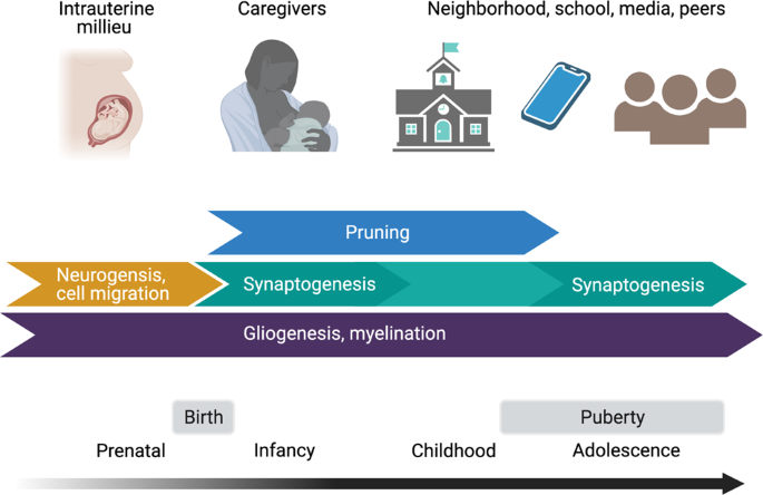 Index, From Neurons to Neighborhoods: The Science of Early Childhood  Development
