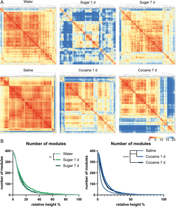 Whole-brain tracking of cocaine and sugar rewards processing