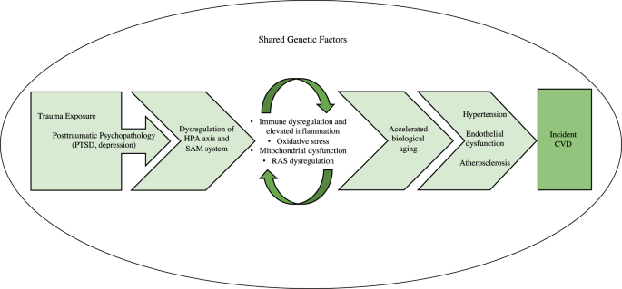 Associations between post-traumatic stress disorders and psychotic