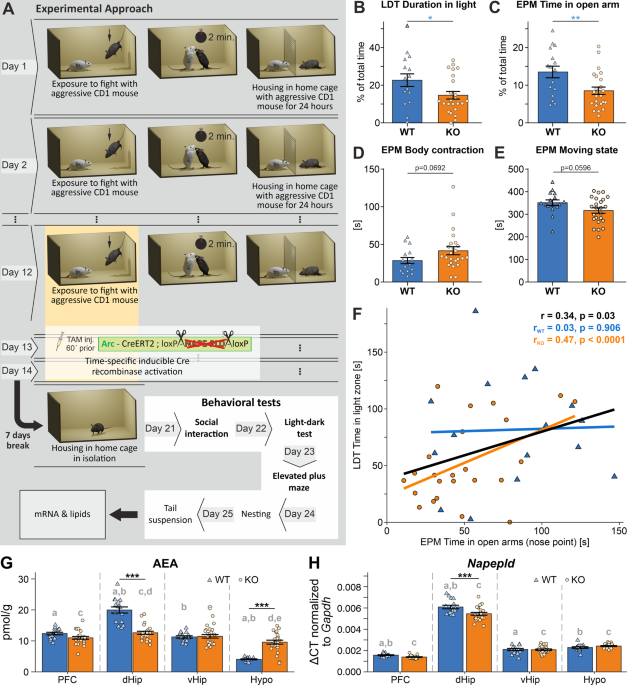 Nape-pld deletion in stress-traped neurons results in an anxiogenic phenotype