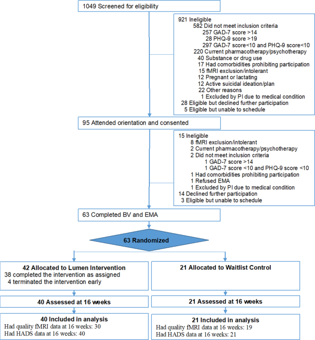 Effects of a virtual voice-based coach delivering problem-solving treatment on emotional distress and brain function: a pilot rct in depression and anxiety