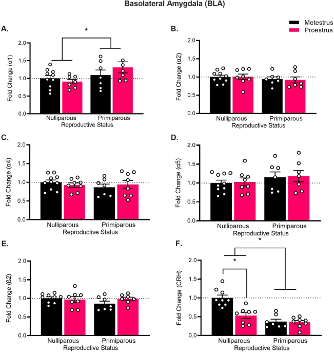 The impact of the ovarian cycle on anxiety, allopregnanolone, and  corticotropin releasing hormone changes after motherhood in female rats and  women