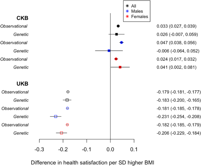 Is BMI a Good Indicator of Health? — Happy Strong Healthy