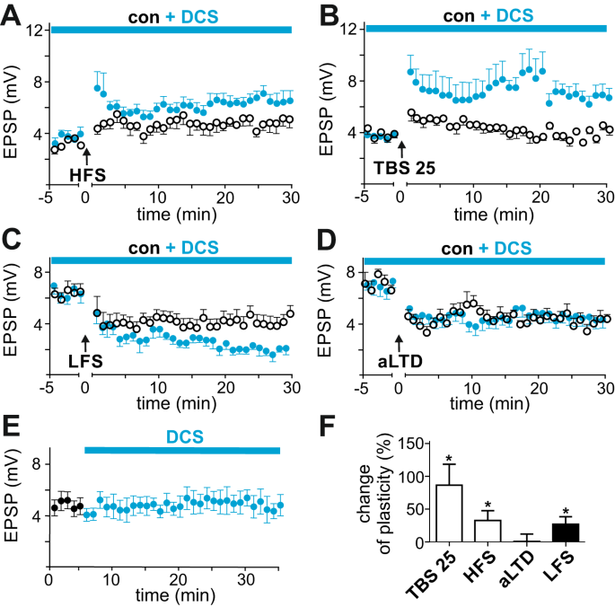 d-Cycloserine enhances the bidirectional range of NMDAR-dependent hippocampal synaptic plasticity | Translational Psychiatry d-cycloserine-enhances-the-bidirectional-range-of-nmdar-dependent-hippocampal-synaptic-plasticity-translational-psychiatry