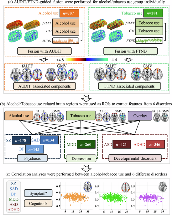 alcohol tobacco and drugs negatively impact physical and mental health Associations of alcohol and tobacco use with psychotic, depressive and  developmental disorders revealed via multimodal neuroimaging