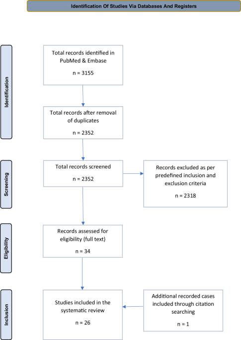 A systematic review of deep brain stimulation for substance use ...