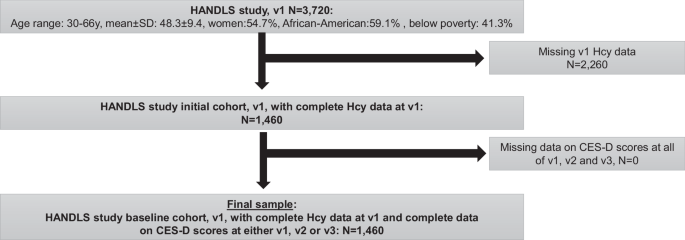 Longitudinal association of homocysteine with depressive and anxiety symptoms among urban adults: healthy aging in neighborhoods of diversity across the life span study