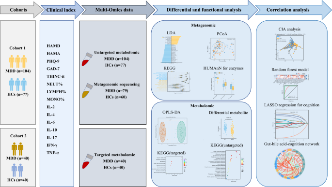 Gut microbiota dysbiosis promotes cognitive impairment via bile acid  metabolism in major depressive disorder | Translational Psychiatry