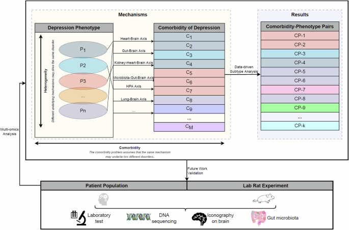Depression Subtypes Association of clinical phenotypes of depression with comorbid ...