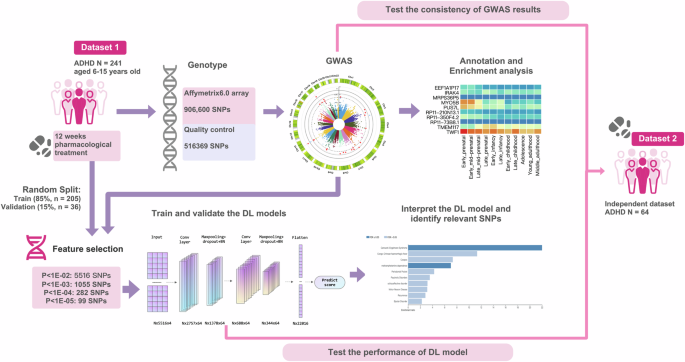 Genome data based deep learning identified new genes predicting ...