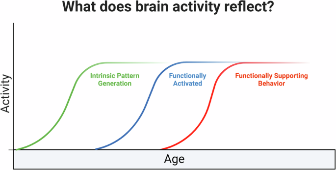 Understanding the development of a functional brain circuit: reward ...