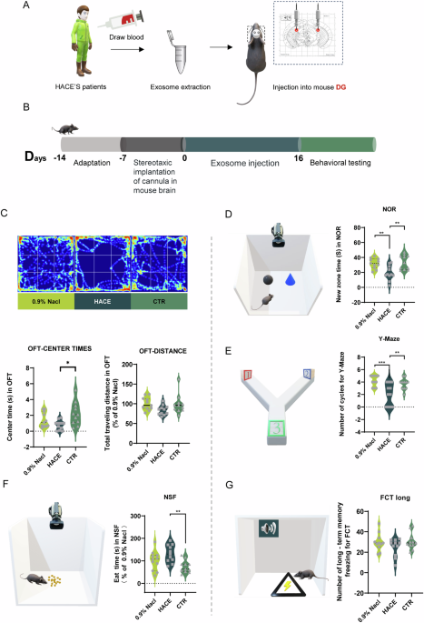 dihexa cognitive enhancement evidence Exosomes from high-altitude cerebral edema patients induce cognitive  dysfunction by altering oxidative stress responses in mice