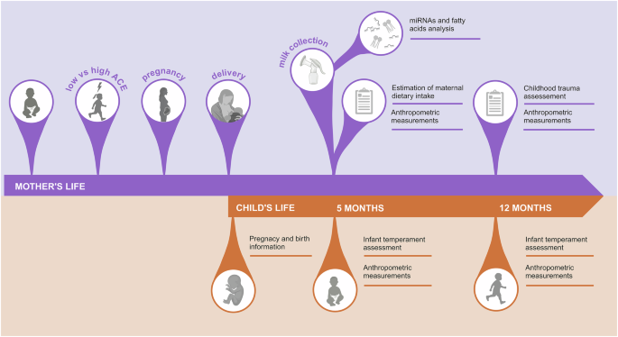 Differential microRNAs and metabolites in the breast milk of mothers ...