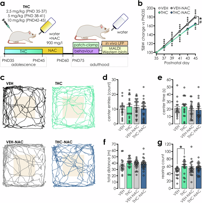 glutathione causing anxiety The antioxidant N-acetylcysteine prevents cortical neuropathological  phenotypes caused by adolescent Δ-9-tetrahydrocannabinol exposure in male  rats