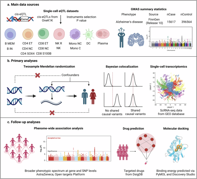 Immune cell-specific genetic architecture of Alzheimer's disease revealed by multi-omics analysis for therapeutic target discovery and prioritization
