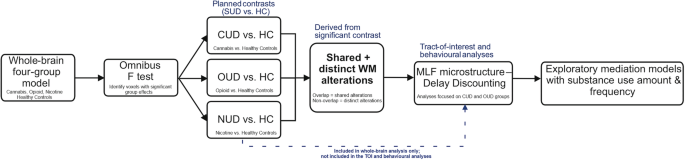 White matter signatures of addiction diverge across opioids, cannabis and nicotine and predict impulsive choice in cannabis dependence