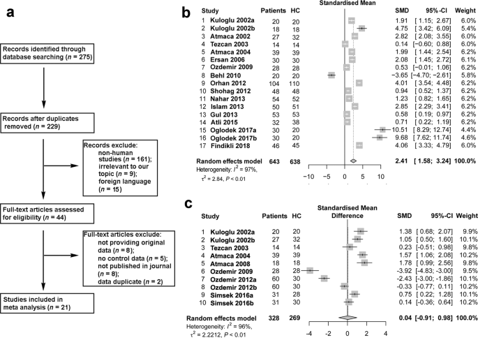 N-acetylcysteine facilitates extinction of cued fear memory in rats via  reestablishing basolateral amygdala glutathione homeostasis | Acta  Pharmacologica Sinica