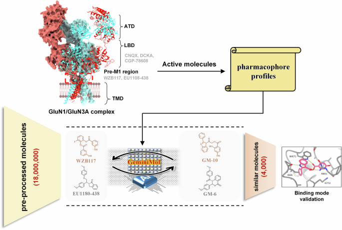 Discovery of novel GluN1/GluN3A NMDA receptor inhibitors using a deep ...