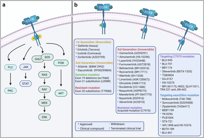 why does glutathione cause diarrhea IV Detox: Is It Right? Application of stimulus-responsive gallium-based liquid