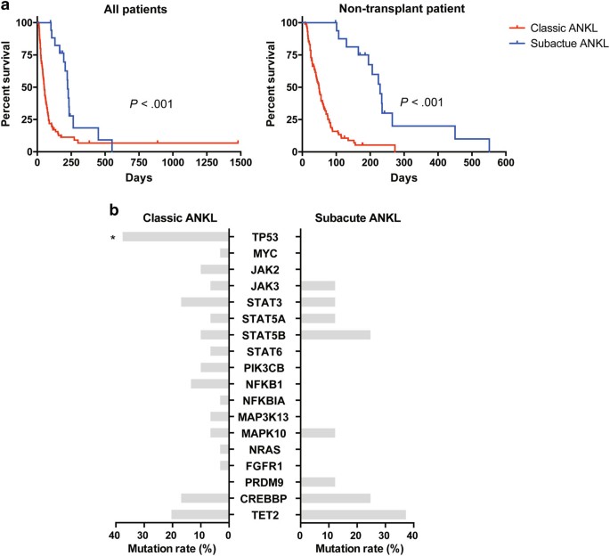 Aggressive nk-cell leukemia: clinical subtypes, molecular features, and treatment outcomes