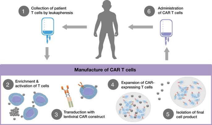 The journey to CAR T cell therapy: the pediatric and young adult experience with relapsed or ...