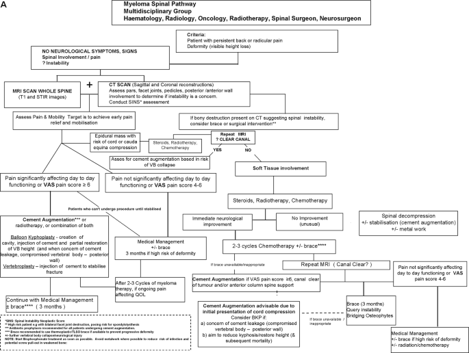 The role of cement augmentation with percutaneous vertebroplasty and  balloon kyphoplasty for the treatment of vertebral compression fractures in  multiple myeloma: a consensus statement from the International Myeloma  Working Group (IMWG)