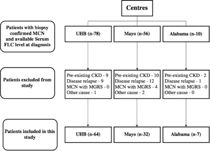 Serum free light chain diagnosis in cast nephropathy—a multicentre study | Cancer Journal