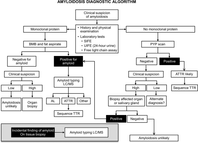 Immunoglobulin light chain amyloidosis diagnosis and treatment algorithm  2021 | Blood Cancer Journal