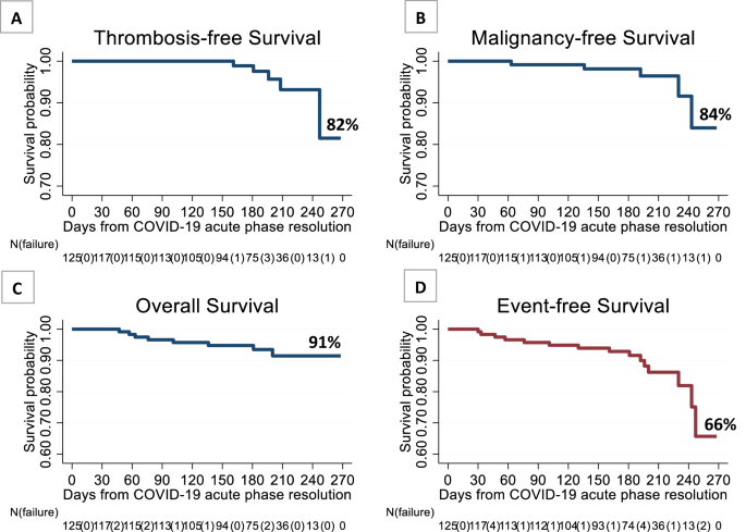 Long Term Follow Up Of Recovered Mpn Patients With Covid 19 Blood Cancer Journal