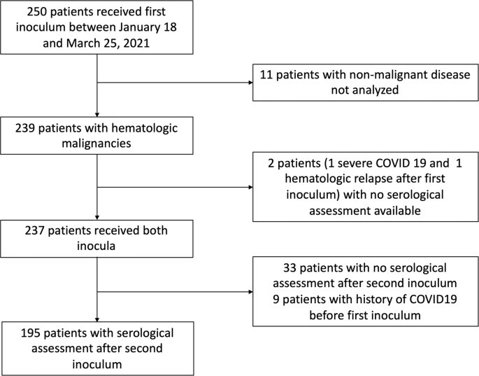 Immunogenicity and risks associated with impaired immune responses  following SARS-CoV-2 vaccination and booster in hematologic malignancy  patients: an updated meta-analysis