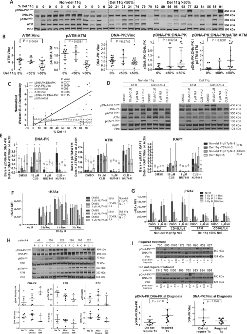 Dna-pk hyperactivation occurs in deletion 11q chronic lymphocytic leukemia and is both a biomarker and therapeutic target for drug-resistant disease