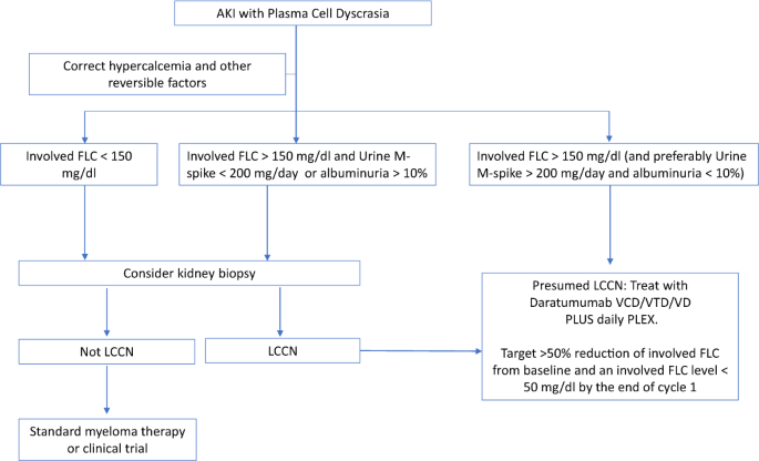 Multiple myeloma with acute light chain cast nephropathy | Blood Cancer  Journal
