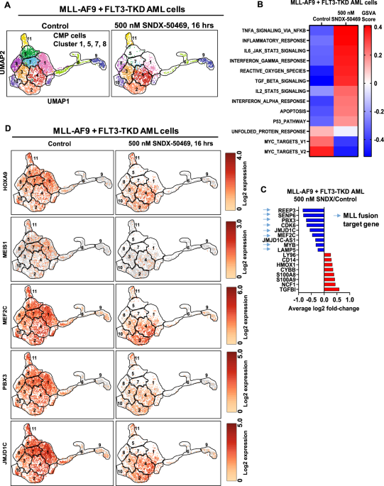 Targeting of epigenetic co-dependencies enhances anti-AML efficacy of Menin  inhibitor in AML with MLL1-r or mutant NPM1