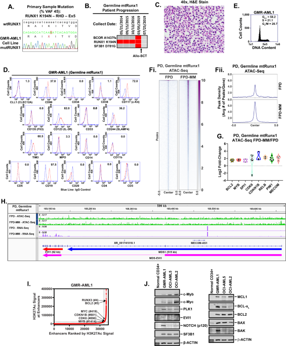 Efficacy of novel agents against cellular models of familial platelet disorder with myeloid malignan