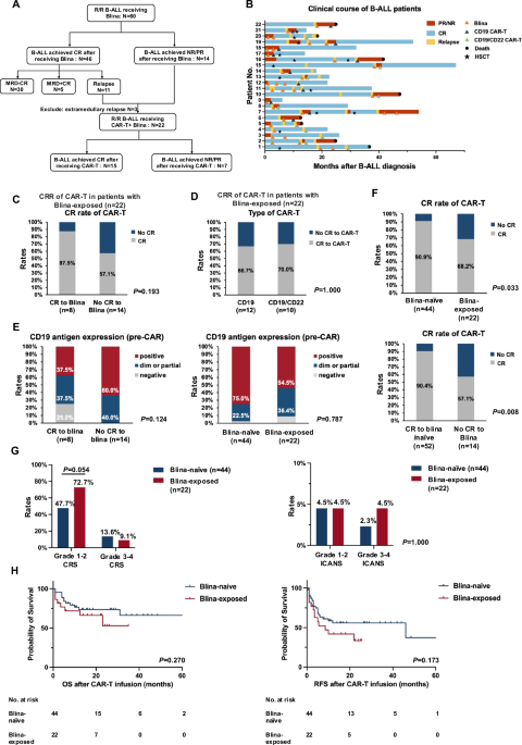 Efficacy and safety of CAR-T cell therapy in B-ALL patients previously ...