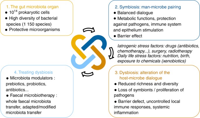 Microbial Transplant May Treat Gut >> High Gastrointestinal Microbial Diversity And Clinical Outcome In Microbial Transplant May Treat Gut >> High Gastrointestinal Microbial Diversity And Clinical Outcome In