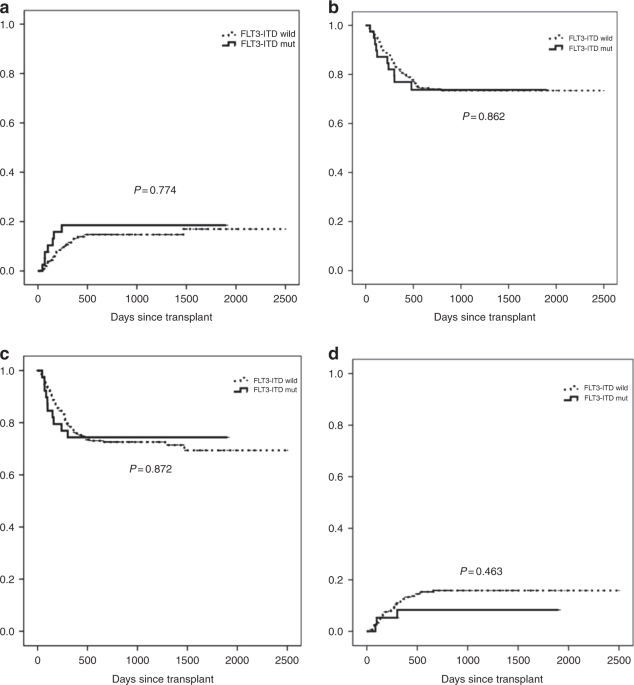 Flt3 internal tandem duplication does not impact prognosis after haploidentical allogeneic hematopoietic stem cell transplantation in aml patients