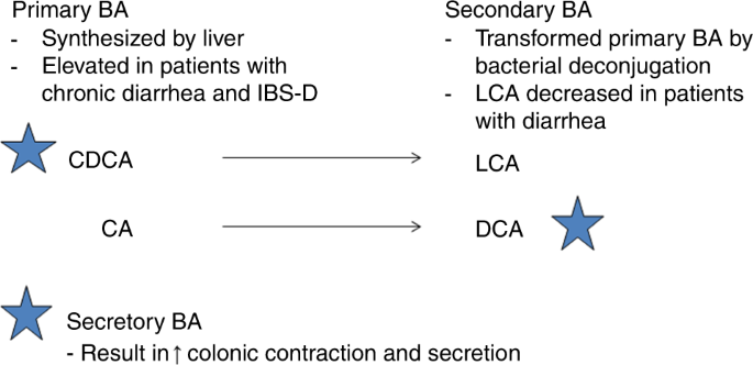 Increased Fecal Primary Bile Acids In Multiple Myeloma With - 