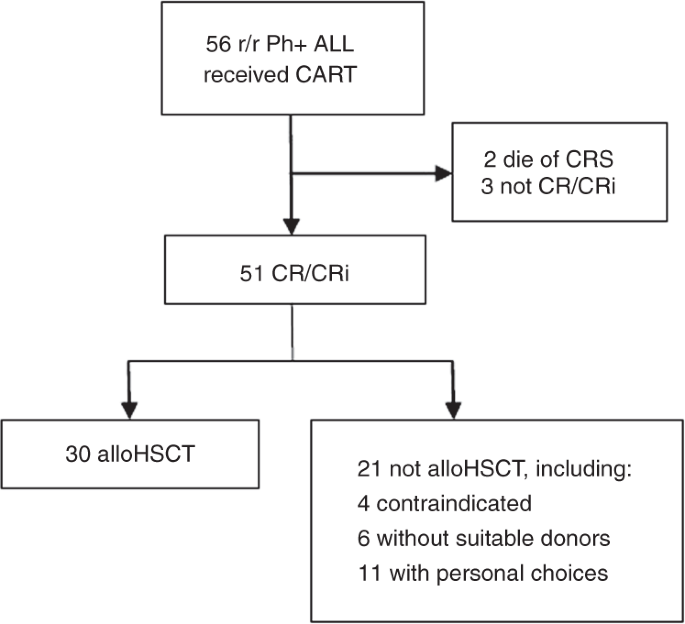 Allogeneic Haematopoietic Stem Cell Transplantation Improves Outcome Of Adults With Relapsed Refractory Philadelphia Chromosome Positive Acute Lymphoblastic Leukemia Entering Remission Following Cd19 Chimeric Antigen Receptor T Cells Bone Marrow