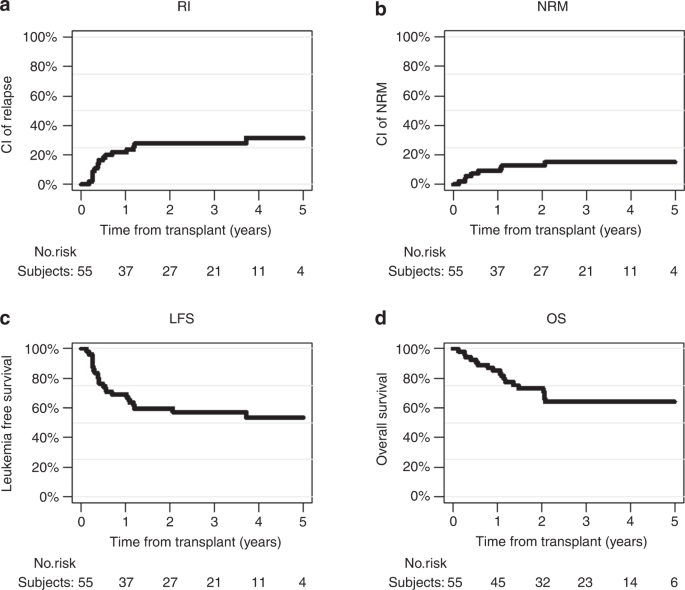 Thiotepa, busulfan and fludarabine conditioning-regimen is a promising approach for older adult patients with acute lymphoblastic leukemia treated with allogeneic stem cell transplantation | Bone Marrow Transplantation