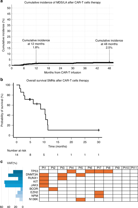 Real-world collection of secondary myeloid neoplasms after CD19 CAR-T ...