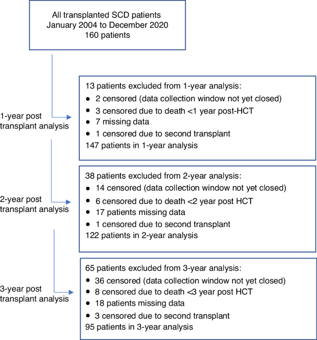 Kidney function after nonmyeloablative hematopoietic cell transplant for sickle cell disease