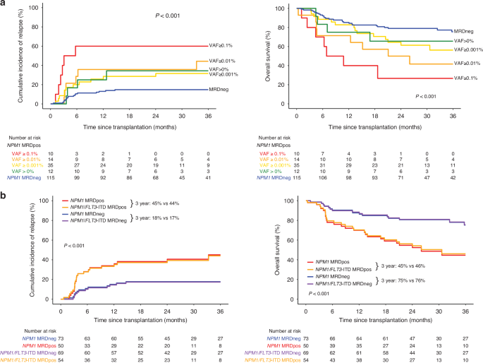 Measurable residual mutated NPM1 before allogeneic transplant for acute ...