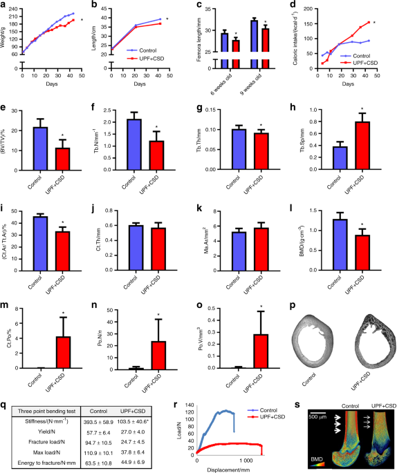                               Bone Research                          volume  9, Article number: 14  (2021 )             Cite this article          