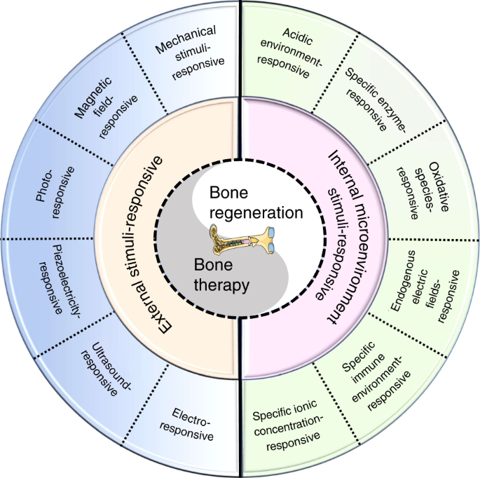 Recent advances in smart stimuli-responsive biomaterials for bone therapeutics and regeneration
