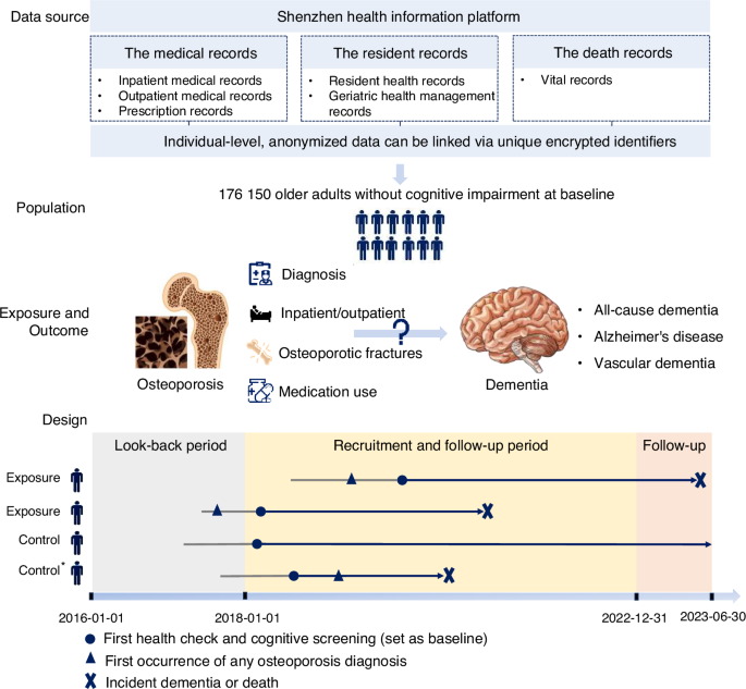 Osteoporosis and risk of dementia among older adults: a population ...