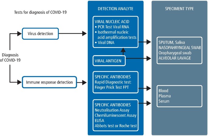 Covid 19 Testing In A Uk Dental Practice Results Of A Pilot Study British Dental Journal