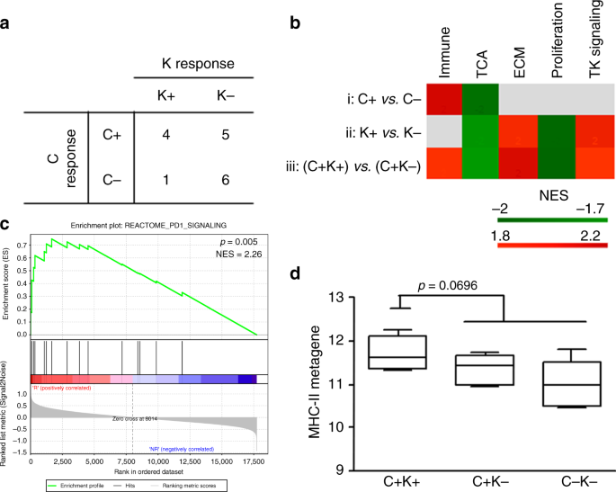 Early immune modulation by single-agent trastuzumab as a marker of trastuzumab benefit