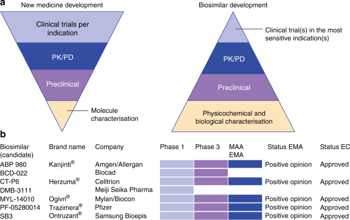 The Arrival Of Biosimilar Monoclonal Antibodies In Oncology Clinical Studies For Trastuzumab Biosimilars British Journal Of Cancer
