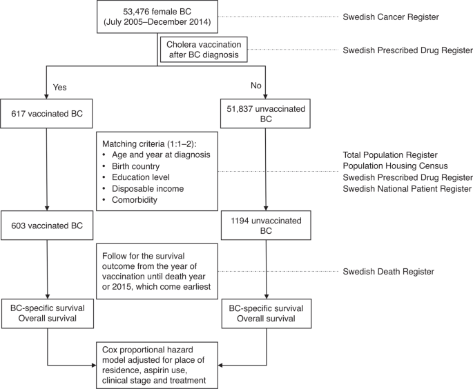 Association Of Post Diagnostic Use Of Cholera Vaccine With Survival Outcome In Breast Cancer Patients British Journal Of Cancer